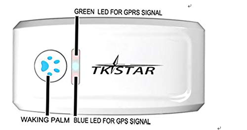 FILWS Mini rastreador de mascotas con collar GSM/GPRS posicionamiento en tiempo real GPS Tracker perro mascota