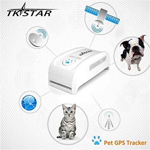 FILWS Mini rastreador de mascotas con collar GSM/GPRS posicionamiento en tiempo real GPS Tracker perro mascota