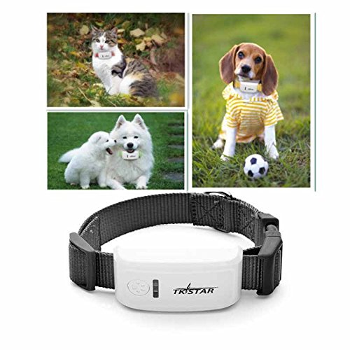 FILWS Mini rastreador de mascotas con collar GSM/GPRS posicionamiento en tiempo real GPS Tracker perro mascota