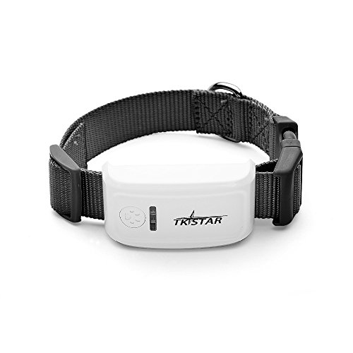 FILWS Mini rastreador de mascotas con collar GSM/GPRS posicionamiento en tiempo real GPS Tracker perro mascota