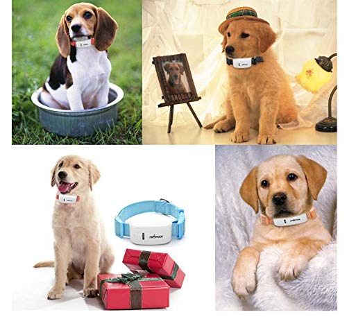 FILWS Mini rastreador de mascotas con collar GSM/GPRS posicionamiento en tiempo real GPS Tracker perro mascota