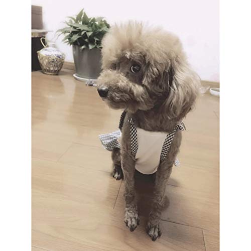 FORMEG Ropa De Perro Mascotas Vestido para Perros Falda para Cachorros Ropa para Perros De Verano Chihuahua Pomerania Caniche Bichon Frise Schnauzer Ropa para Perros Vestidos para Mascotas