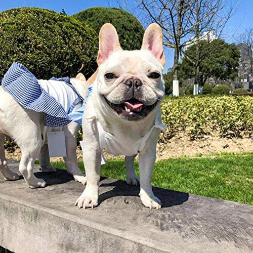 FORMEG Ropa De Perro Mascotas Vestido para Perros Falda para Cachorros Ropa para Perros De Verano Chihuahua Pomerania Caniche Bichon Frise Schnauzer Ropa para Perros Vestidos para Mascotas