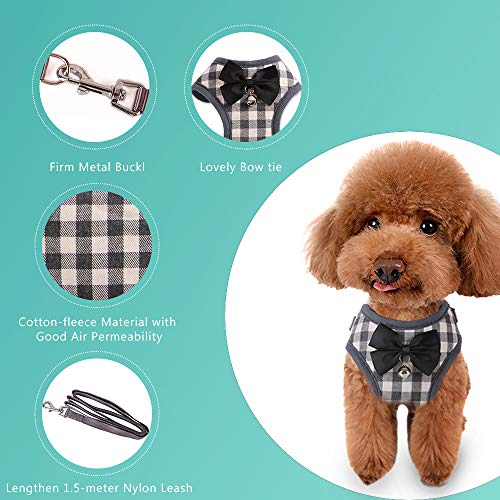 Galapara Conjunto de arnés de Chaleco para Mascotas con Correa Correa de Pecho Ajustable para Perro pequeño Cachorro de Gato Bichon Frise Schnauzer Pomeranian