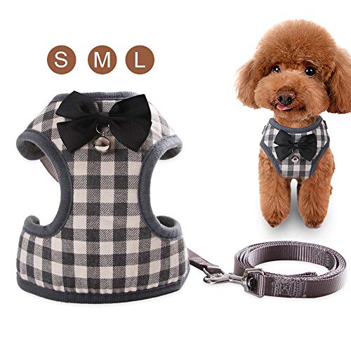 Galapara Conjunto de arnés de Chaleco para Mascotas con Correa Correa de Pecho Ajustable para Perro pequeño Cachorro de Gato Bichon Frise Schnauzer Pomeranian