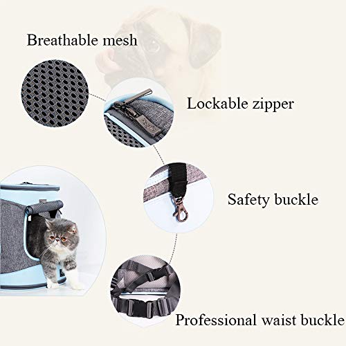 GAOXIAOMEI Mochila para Transporte de Mascotas Gato y Perro Plegable Bolso Perro Transportin Espaciosa Portador de Gato Transpirable Perros Gatos Transportín Jaula,Azul