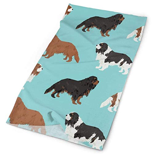 gii6LMLMLFGHLBB Cute Dog Pet Dogs Tela Blemein Ruby Cavalier Black and Tan Dog Cute Dog Coat Perro Raza Tela Diademas Bandana Cap Pañuelo Bufanda Cara Cuello Polainas Protección Solar UV