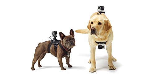 GoPro Fetch - Arnés de cámara GoPro para Mascota, Color Negro