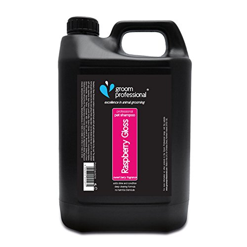 Groom Professional Raspberry Gloss Shampoo 4 Litre