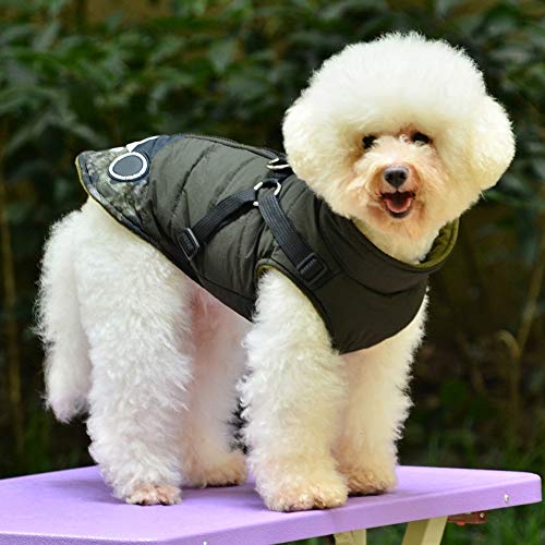 Handfly Chaqueta Impermeable para Perros con Chaleco arnés, Abrigo de Invierno para Cachorros, Chaqueta para Perros, Chaqueta para Mascotas, Ropa para Perros pequeños, Gatos, Mascotas