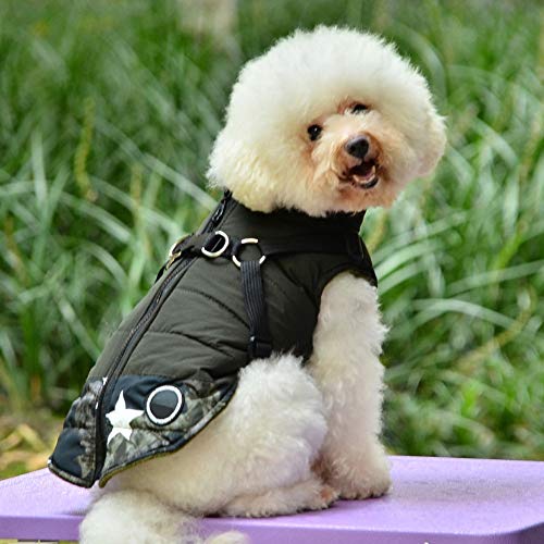 Handfly Chaqueta Impermeable para Perros con Chaleco arnés, Abrigo de Invierno para Cachorros, Chaqueta para Perros, Chaqueta para Mascotas, Ropa para Perros pequeños, Gatos, Mascotas