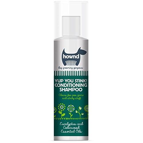 Hownd Yup You Stink! Champú acondicionador 250 ml (Pack de 4)