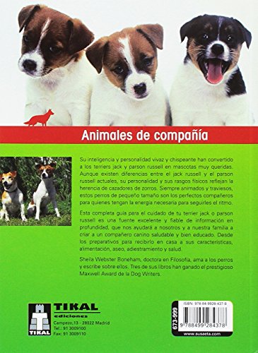 Jack russell terrier y parson russell terrier