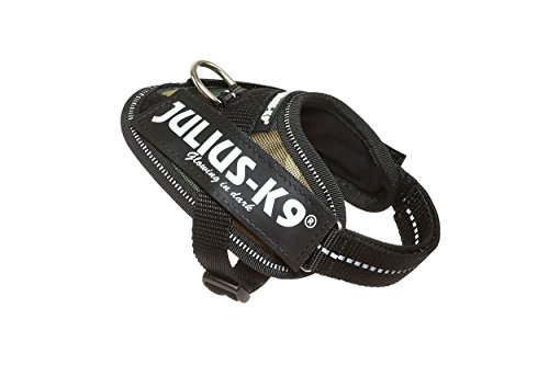 Julius-K9 16IDC - Power Harness