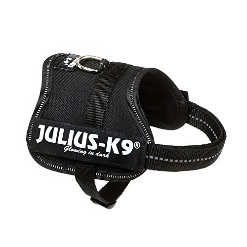 Julius-K9 Baby 2, 33-45 cm, Negro