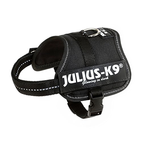 Julius-K9 Baby 2, 33-45 cm, Negro