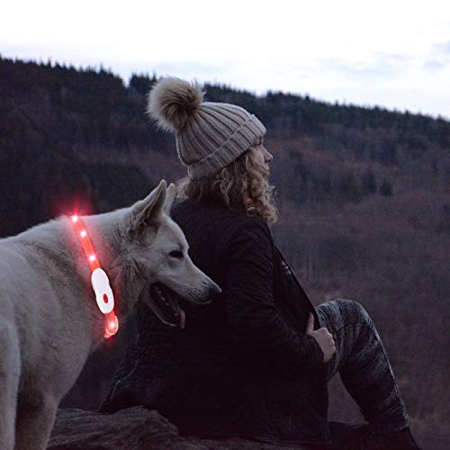 kolpop Collar Luminoso Perro, USB Recargable Collar Perro Seguro para Mascotas, 3 Modos de Collar Perro luz, Collar LED Perro Adecuado para Menos 20kg, Ajustable Collares Luminosos para Perros（Rojo）