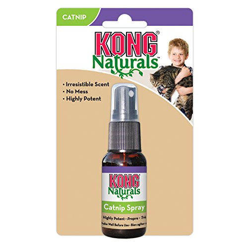 KONG - Naturals Catnip Spray for Cats - 29 gramos