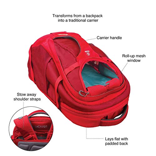 Kurgo G-Train Perros Pequeños y Gatos-Portador Mascotas-Aprobado por Aerolíneas-Mochila para Gato-Ideal para Viajes y Excursiones-Base Impermeable Chili, Rojo Pimiento