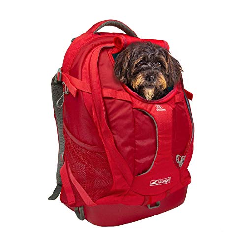 Kurgo G-Train Perros Pequeños y Gatos-Portador Mascotas-Aprobado por Aerolíneas-Mochila para Gato-Ideal para Viajes y Excursiones-Base Impermeable Chili, Rojo Pimiento