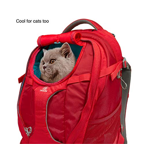 Kurgo G-Train Perros Pequeños y Gatos-Portador Mascotas-Aprobado por Aerolíneas-Mochila para Gato-Ideal para Viajes y Excursiones-Base Impermeable Chili, Rojo Pimiento