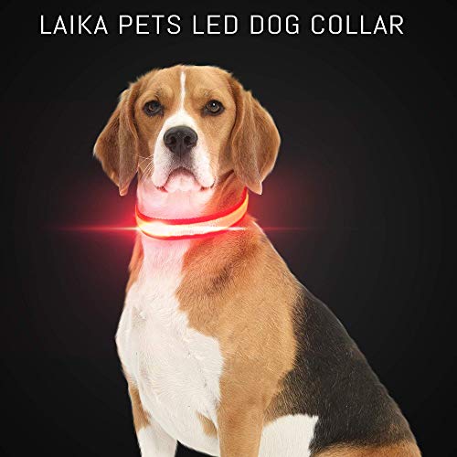 Laika Pets Collar de Perro LED Intermitente Fibra óptica Luminosa Tejida en Tela de Nylon Trenzado de Alta Resistencia, Brillante y Reflectante con una batería reemplazable de Larga duración …