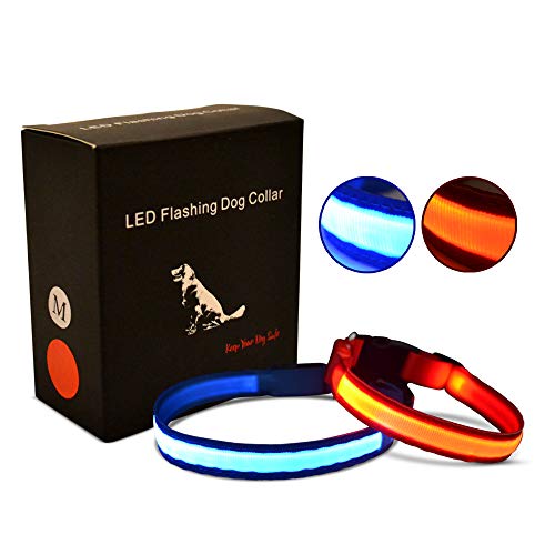 Laika Pets Collar de Perro LED Intermitente Fibra óptica Luminosa Tejida en Tela de Nylon Trenzado de Alta Resistencia, Brillante y Reflectante con una batería reemplazable de Larga duración …