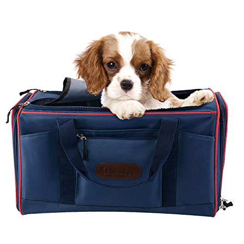 Legendog Transportin Gato, Soft Sided Línea Aérea Aprobado Animales Gatos Perros Portadores Ligero De Tela Viaje Portador Bolsa Caso con Alfombra Polar para Medio Y Grande Perros Gato