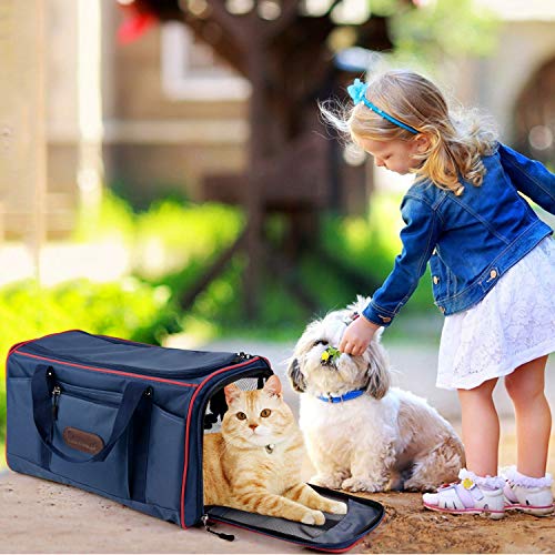 Legendog Transportin Gato, Soft Sided Línea Aérea Aprobado Animales Gatos Perros Portadores Ligero De Tela Viaje Portador Bolsa Caso con Alfombra Polar para Medio Y Grande Perros Gato