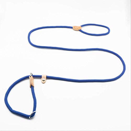 LMDZSW Collar Deslizante con Correa para Perros Cables para Mascotas Mascotas Nylon Perro Escalada de montaña Cachorro Mascota Diámetro de tracción 16 MM Azul