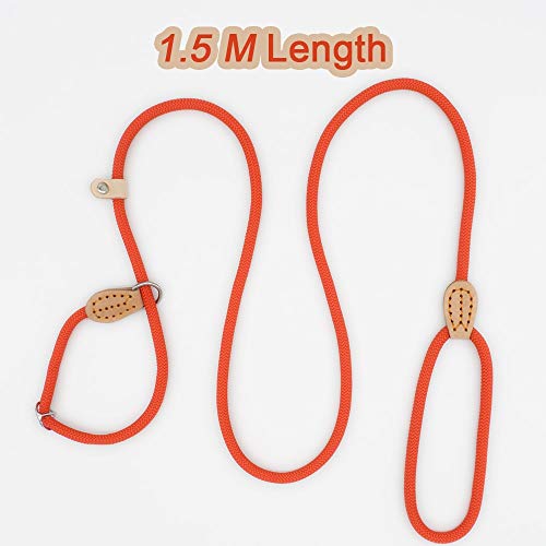 LMDZSW Collar Deslizante con Correa para Perros Mascotas para Caminar Mascotas Perro de Nylon Cuerda para Escalar Cachorro Mascota Diámetro de tracción 8 MM Rojo