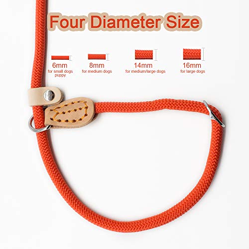 LMDZSW Collar Deslizante con Correa para Perros Mascotas para Caminar Mascotas Perro de Nylon Cuerda para Escalar Cachorro Mascota Diámetro de tracción 8 MM Rojo