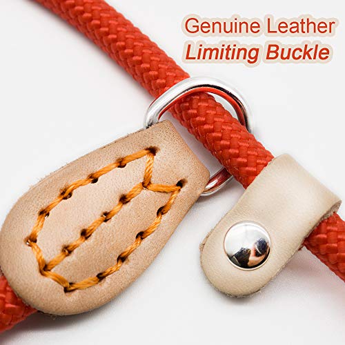 LMDZSW Collar Deslizante con Correa para Perros Mascotas para Caminar Mascotas Perro de Nylon Cuerda para Escalar Cachorro Mascota Diámetro de tracción 8 MM Rojo