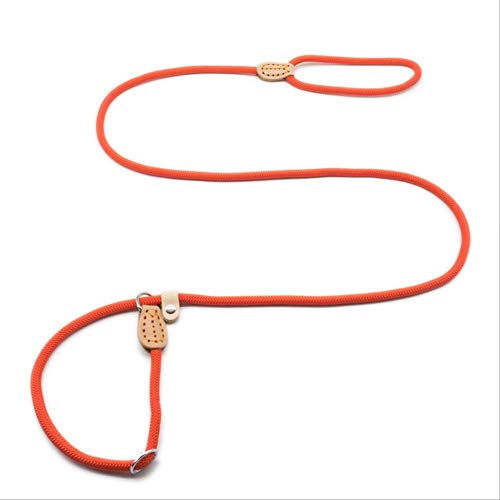 LMDZSW Collar Deslizante con Correa para Perros Mascotas para Caminar Mascotas Perro de Nylon Cuerda para Escalar Cachorro Mascota Diámetro de tracción 8 MM Rojo