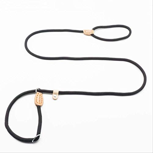 LMDZSW Collar Deslizante con Correa para Perros Mascotas para Caminar Mascotas Perro de Nylon Cuerda para Escalar Cachorro Mascota Diámetro de tracción 8 MM Negro