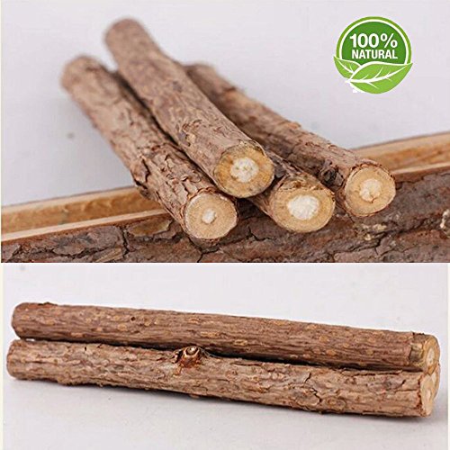 Makone Catnip, 10 Palitos De Hierba Gatera De Matatabi para Gatos Natural Cuidado Dental Chew Catnip Sticks para Dientes Diámetro de Limpieza 10-15mm