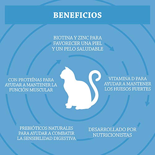 Marca Amazon - Solimo - Alimento seco completo para gatos adultos con salmón, atún y verduras, 1 pack de 10 kg