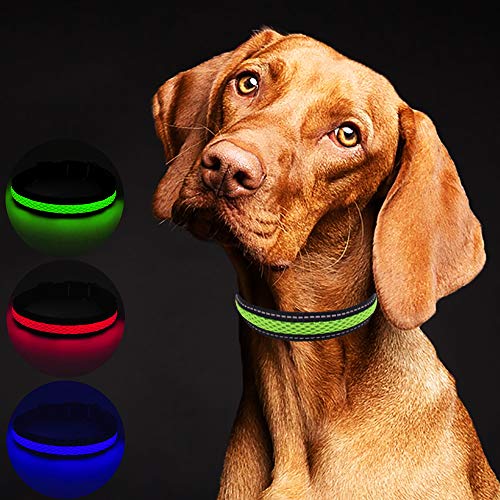 MASBRILL USB Collar de Perro LED Recargable Iluminado Collar Intermitente Luces La Seguridad Ajustable Neck Loop