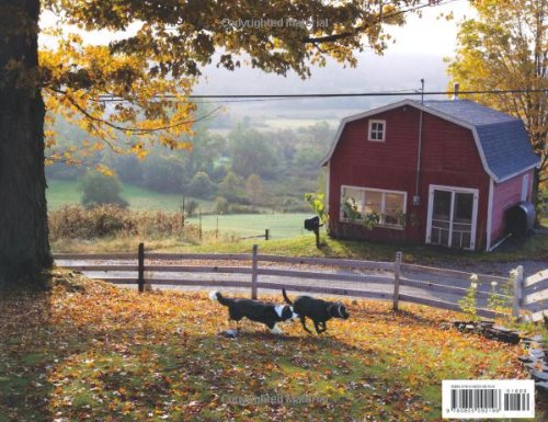 Meet the Dogs of Bedlam Farm