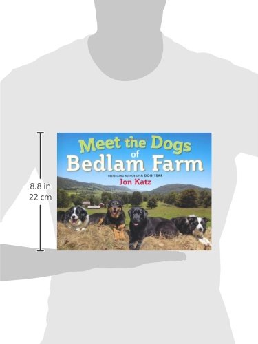 Meet the Dogs of Bedlam Farm