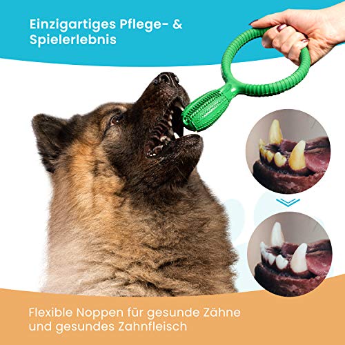 MeinVierbeiner Cepillo de Dientes para Perros 2 en 1 – Cepillo de Dientes de Caucho 100% Natural con Soporte Interactivo, Limpieza Dental intensa