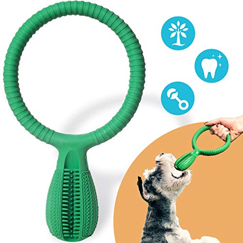 MeinVierbeiner Cepillo de Dientes para Perros 2 en 1 – Cepillo de Dientes de Caucho 100% Natural con Soporte Interactivo, Limpieza Dental intensa