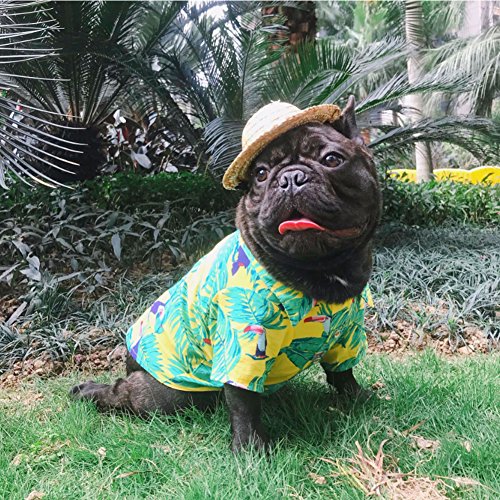 Meioro Ropa para mascotas Ropa para perros Cómoda camisa de perro Estilo hawaiano Estilo de vida costera Material de algodón Cachorro Bulldog francés Pug (Yellow-L)