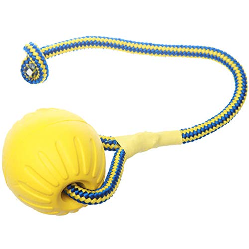 miaoxuewei Pelota de Espuma con Suministros para Perros de Entrenamiento con Cuerdas Pelotas saltarinas Labrador Dorado Molares Resistentes al mordisco