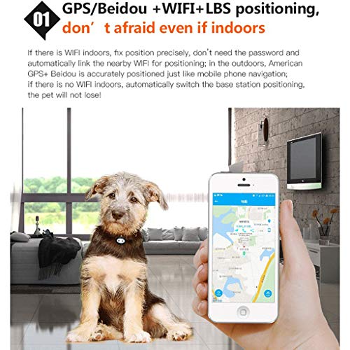 Mini Rastreador De GPS para Mascotas Rastreador De GPS Inteligente A Prueba De Agua con Cuello para Mascotas Gato Perro Ubicación GPS + LBS Aplicación Gratis Indicador LED