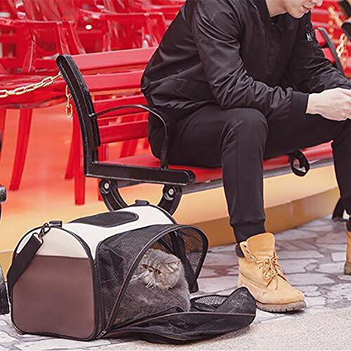 Mochila para Perros, Bolsa para Perros, Bolsa para Perros, Jaula para Gato, Ampliable, Bolsa de Viaje, Bolsa para el Hombro con Acolchado Plegable, cómoda Silla de Paseo B, M, Robusta, Ligera