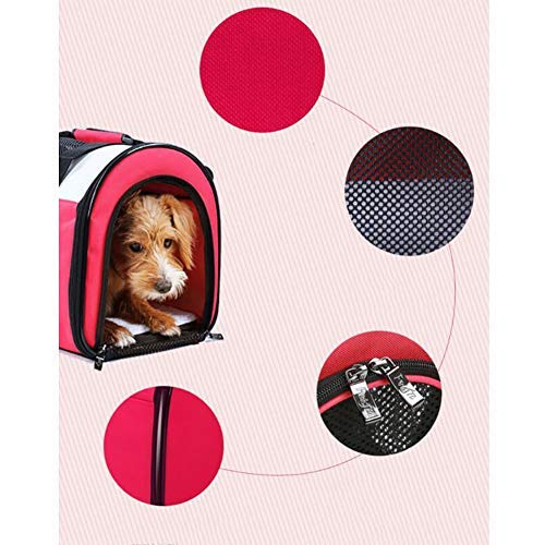 Mochila para Perros, Bolsa para Perros, Bolsa para Perros, Jaula para Gato, Ampliable, Bolsa de Viaje, Bolsa para el Hombro con Acolchado Plegable, cómoda Silla de Paseo B, M, Robusta, Ligera