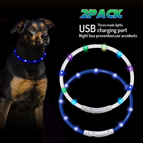 Mookis Collar de Perro LED, USB Recargable, Collar de Perro Mascota Brillante para Seguridad Nocturna, Collar de luz de Moda (Verde, Multicolor)