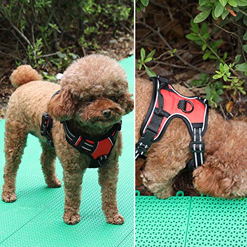 MYYXGS Correa para Perros: Adecuada para Perros medianos y Grandes Ventilación con Rejilla explosiones Robusta ponible Fácil de Usar L