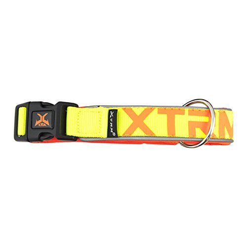 Nayeco - Collar Perros Xtrm Neon Flash